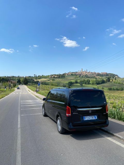Tasting in a Vineyard With Transfer From Lucca - Overview of the Activity