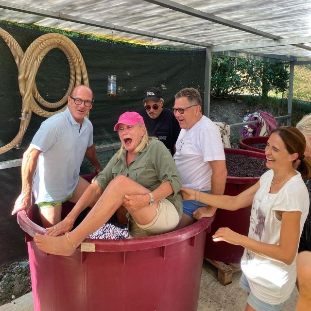 Tasting in a Vineyard With Transfer From Lucca - Highlights of the Experience