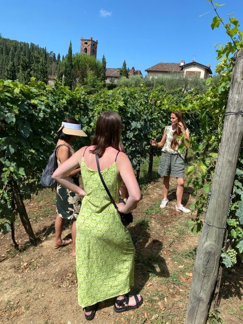 Tasting in a Vineyard With Transfer From Lucca - Tuscan Wine Culture and Insights