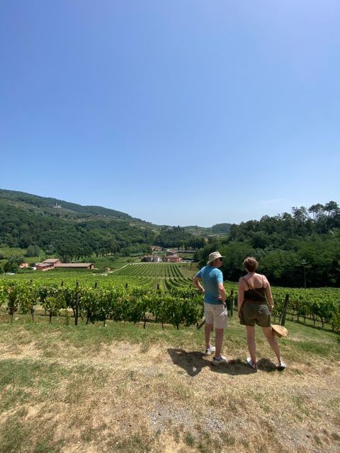 Tasting in a Vineyard With Transfer From Lucca - Customer Reviews and Feedback