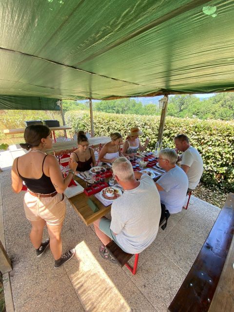 Tasting in a Vineyard With Transfer From Pisa - Key Points