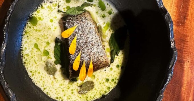 Tasting Menu Dinner of Local Haute Cuisine - Private Group Option