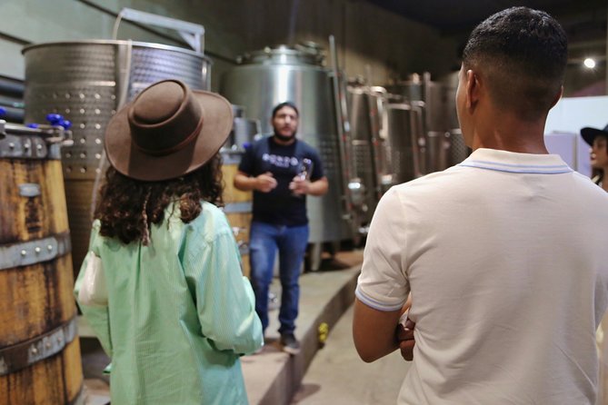 Tasting of 5 Wines and Tour - Key Points