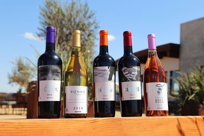 Tasting of 5 Wines and Tour - Accessibility Information