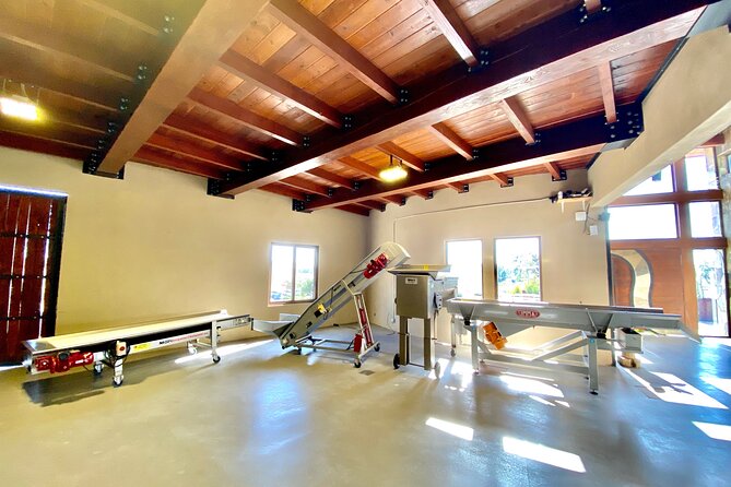 Tasting of 5 Wines and Tour - Booking Information