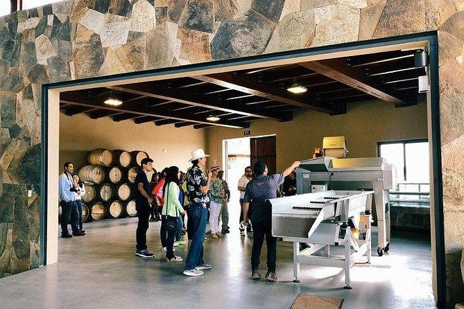 Tasting of 5 Wines and Tour - The Wine Selection