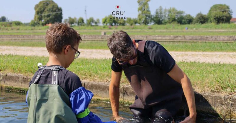 Tasting of Caviar and Visit to the CRU - Key Points