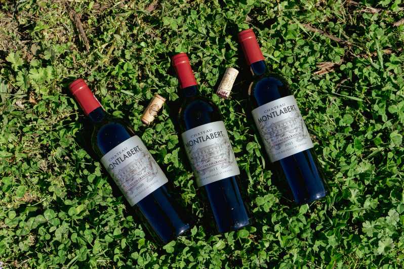 Tasting of Château Montlabert - Saint Emilion - Overview of the Tasting Experience
