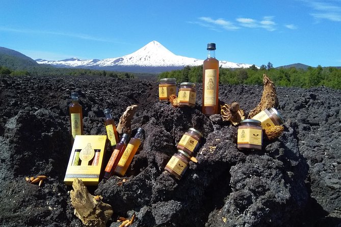 Tasting of Handmade Liquors, Marinade and Jams - Accessibility and Participation