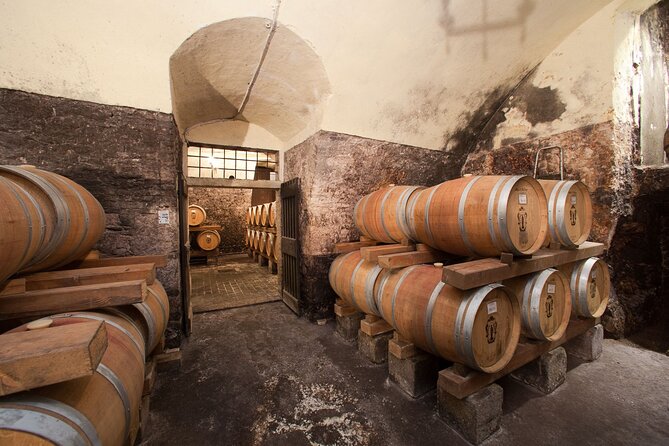 Tasting of Valpolicella Wines Tradition and Modernity - Visiting the Historical Cellars