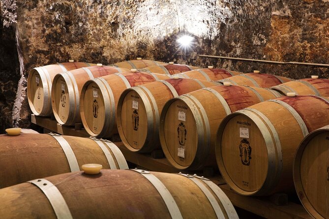 Tasting of Valpolicella Wines Tradition and Modernity - Pairing With Local Delicacies