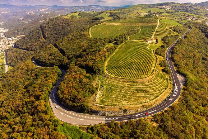 Tasting of Valpolicella Wines Tradition and Modernity - Exploring Valpolicellas Winemaking Traditions