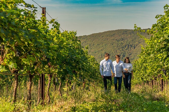 Tasting of Valpolicella Wines Tradition and Modernity - Appreciating the Valpolicella Wine Experience