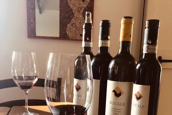 Tasting Selection of 4 Wines in Montefalco - Exploring the Vineyard