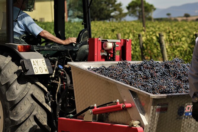 Tasting Selection of 4 Wines in Montefalco - Bruschetta and Snacks
