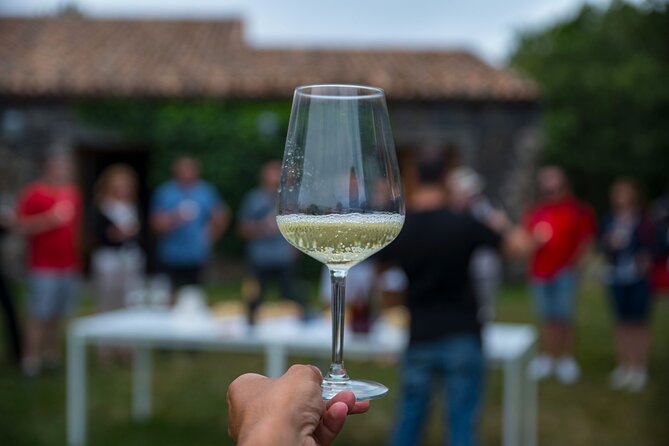 Tasting the Best Wines of the Region With a Sommelier in Braga - Key Points