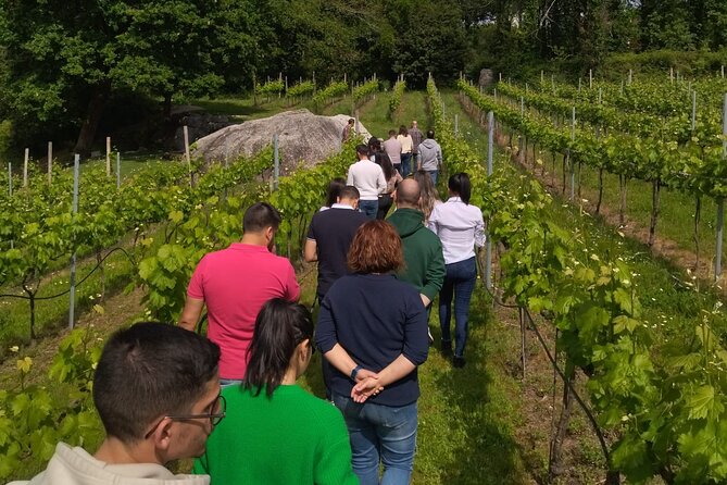 Tasting the Best Wines of the Region With a Sommelier in Braga - Booking Information