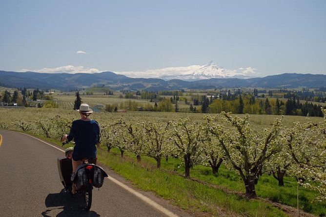 Tasting the Gorge by Ebike - Exploring the Historic Columbia River Highway