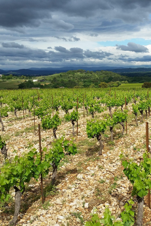 Tasting Tour : the Secrets of the Vineyard Chateau Capion - Frequently Asked Questions