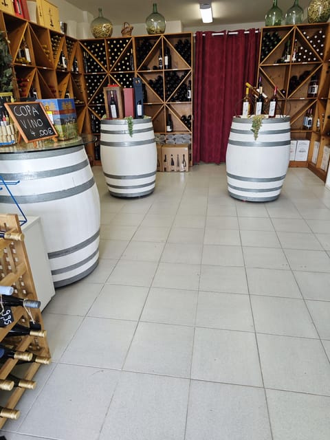 Tasting Wines From Mallorca - Vinothek Cala Mandia - Wines Offered