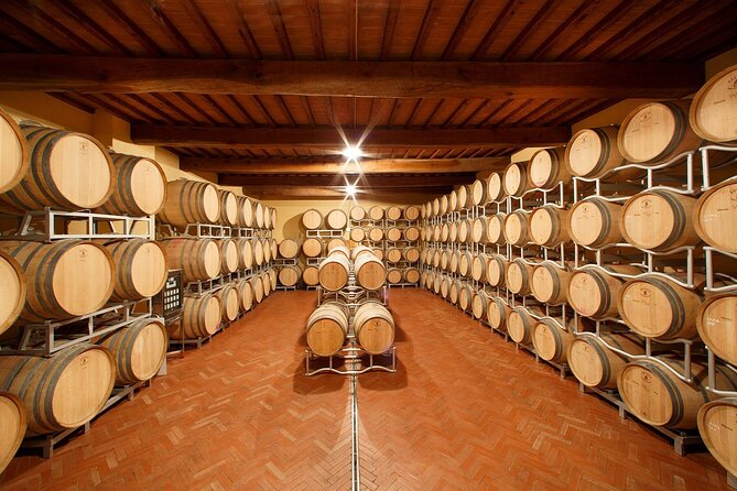 Tasting With Private Walk in a Cellar in Tuscany - Key Points