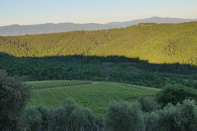 Tasting With Private Walk in a Cellar in Tuscany - Whats Included
