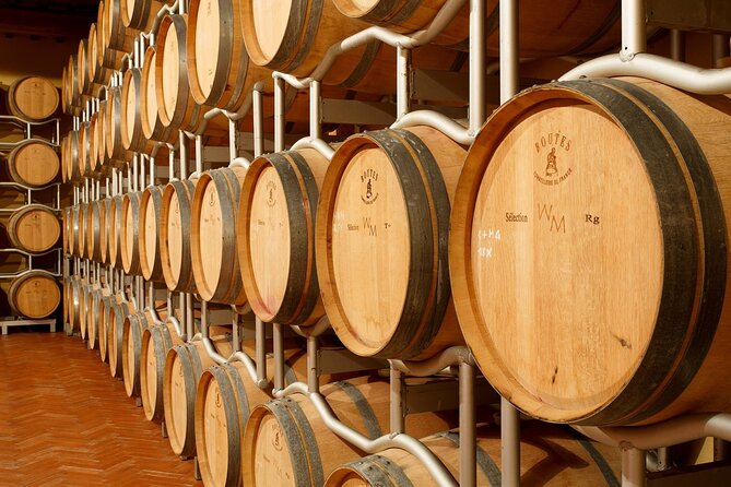 Tasting With Private Walk in a Cellar in Tuscany - Cellar Tour Experience