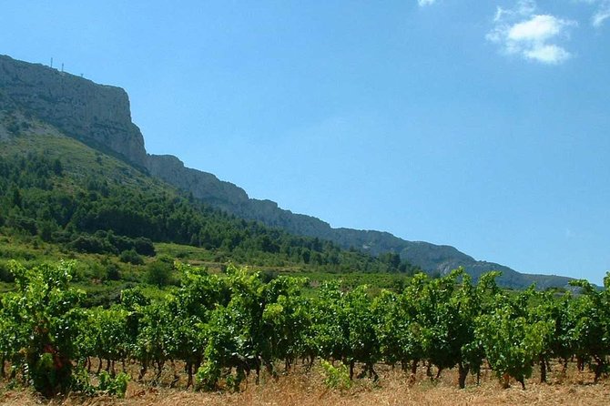 Tasting Workshop of 6 to 8 Wines With Charcuterie Chocolate Cheese - Pricing and Booking