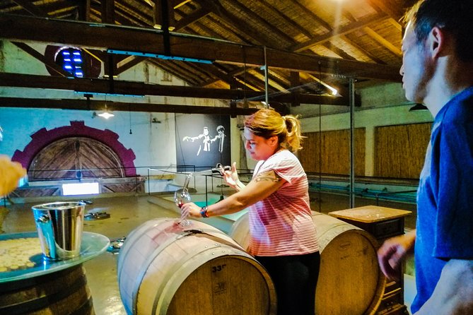 Tastings and Lunch in Maipú! One of the Oldest Regions of Mendoza - Tasting and Lunch Experience