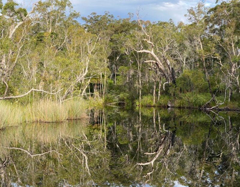Tasty Noosa Everglades - Tour Duration and Cancellation