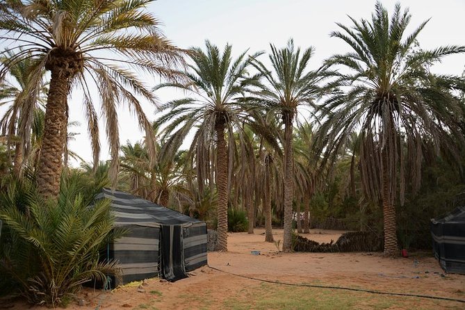 Tatouine - Chenenni - Ksar Ghuilaine - Matmata: 2 Days Visit - Desert Experiences