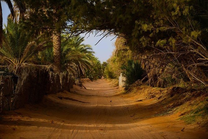 Tatouine - Chenenni - Ksar Ghuilaine - Matmata: 2 Days Visit - Guide and Service Quality