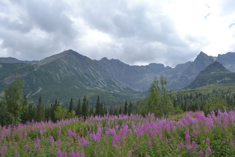Tatras Mountains: Full-Day Hiking Tour From Krakow - Guided Experience