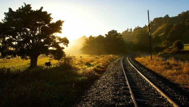 Taumarunui: Forgotten World Rail Cart Tour with Lunch - Key Points