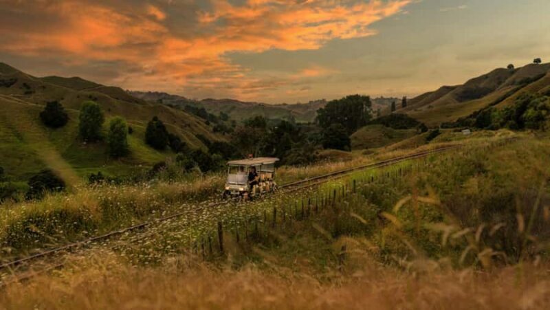 Taumarunui: Forgotten World Rail Cart Tour with Lunch - A Deep Dive into the Forgotten World Rail Cart Tour