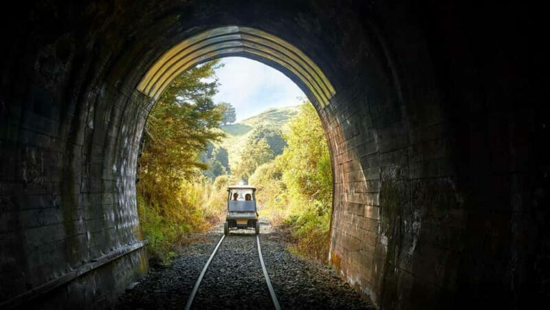 Taumarunui: Forgotten World Rail Cart Tour with Lunch - Who Will Love This Tour?