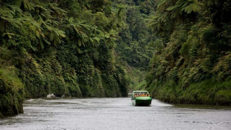 Taumarunui: Railcart and Jetboat Adventure with lunch - The Itinerary in Detail