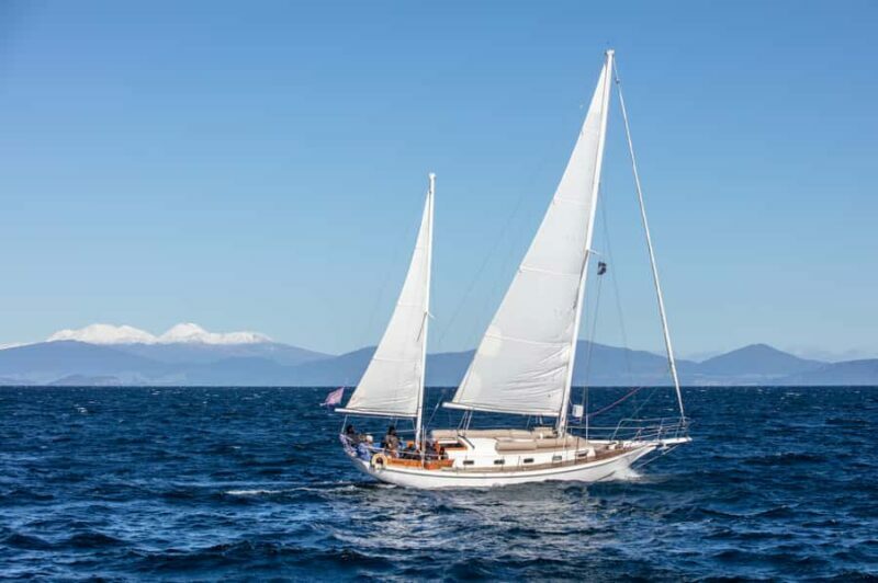 Taup: Sail Barbary Eco Sailing to the Maori Rock Carvings - Key Points