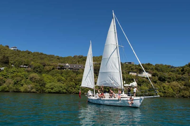 Taup: Sail Barbary Eco Sailing to the Maori Rock Carvings - What to Know Before You Go