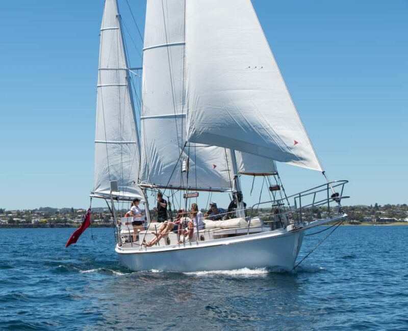 Taup: Sail Barbary Eco Sailing to the Maori Rock Carvings - FAQs