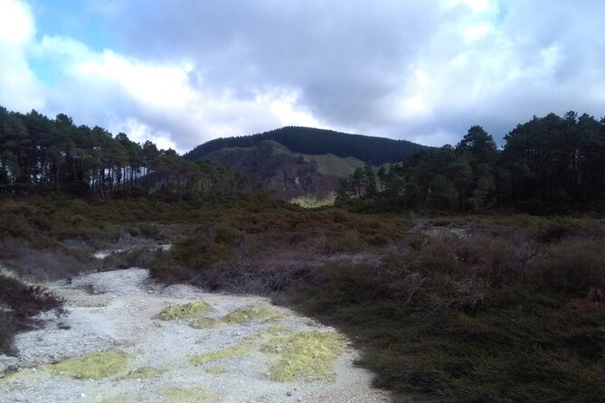 Taupo Day Trip With Orakei Korako or Waiotapu From Rotorua - Group Size and Suitability