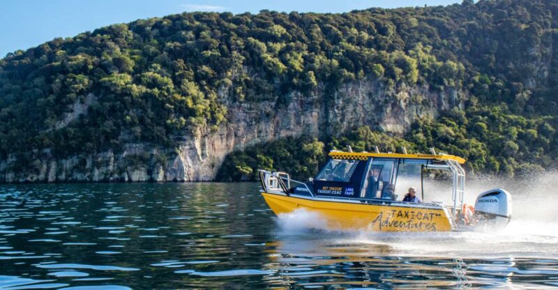 Taupo: Lake Taupo Western Bays Catamaran Tour With Bush Walk - Itinerary Details