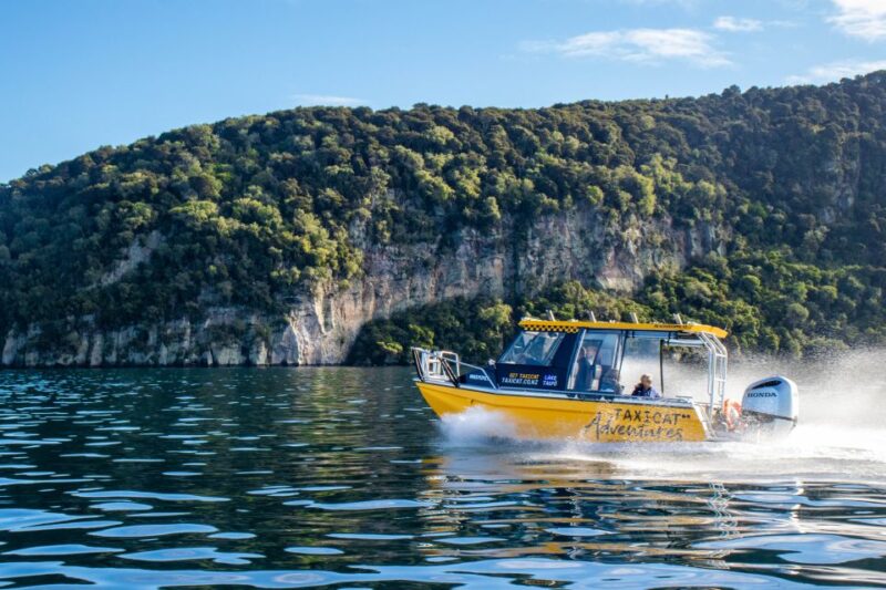 Taupo: Lake Taupo Western Bays Catamaran Tour With Bush Walk - Experience Highlights