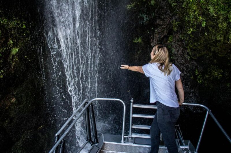 Taupo: Lake Taupo Western Bays Catamaran Tour With Bush Walk - Whats Included