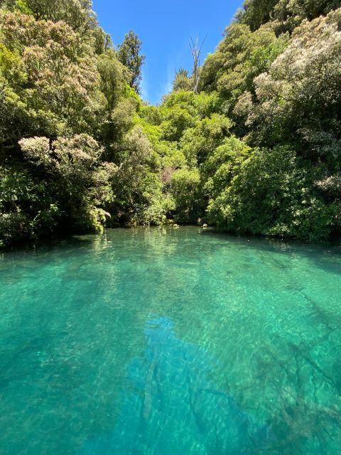 Taupo: Lake Taupo Western Bays Catamaran Tour With Bush Walk - Customer Reviews