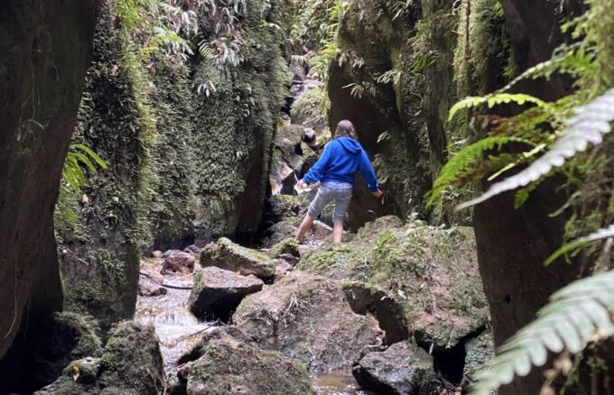 Taupo: Lake Taupo Western Bays Catamaran Tour With Bush Walk - Frequently Asked Questions