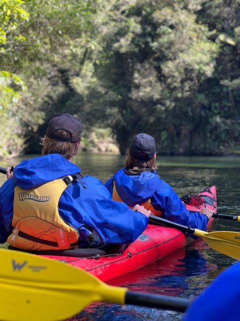 Tauranga: Daytime Scenic Lake McLaren Kayak Tour - Tour Highlights