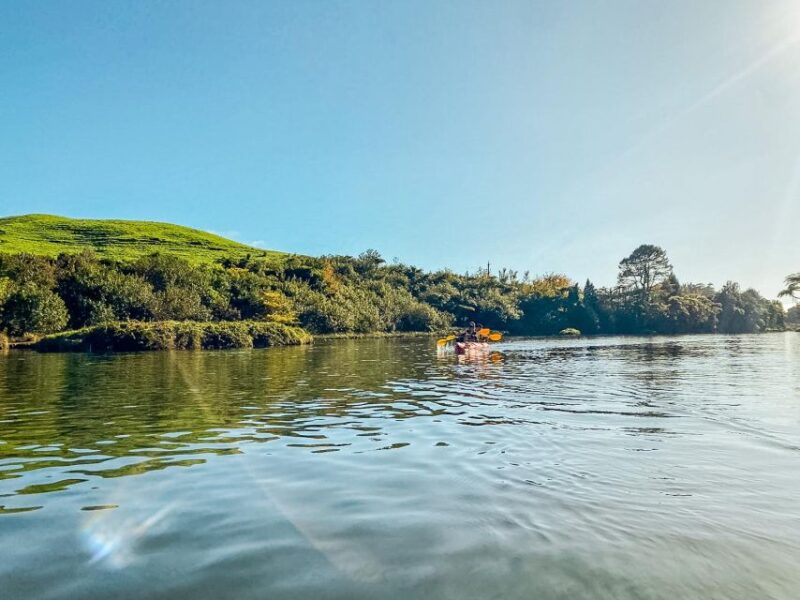 Tauranga: Daytime Scenic Lake McLaren Kayak Tour - Inclusions