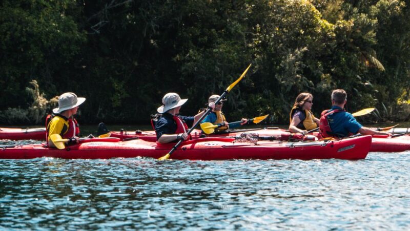 Tauranga: Daytime Scenic Lake McLaren Kayak Tour - Customer Experience