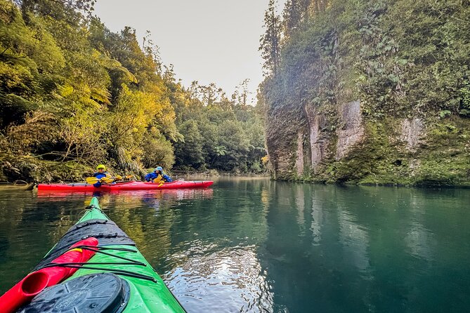 Tauranga: Daytime Scenic Lake McLaren Tour - Experience Highlights